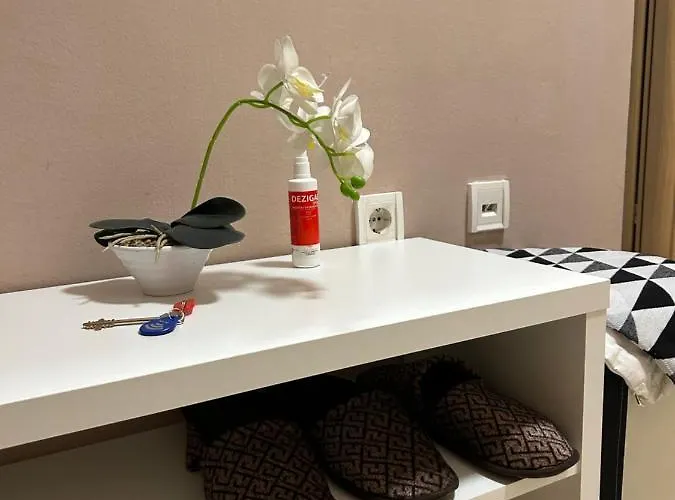 Vert Apartment 公寓